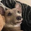 heathermccuskerbr - @heathermccuskerbr - TikTok
