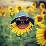 Heather McFarlane - @heathermcfarlane123 - Instagram