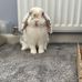 Heather Mhari - Facebook