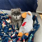 Heather McIntire - @hmcintire50 - Instagram