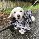 Heather McKean - @sandygirlmckean - Instagram
