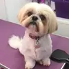 Heather McNeely - @heather.mcneely - TikTok