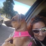 Heather Steen-mcNeely - @hkaysm - Instagram