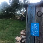 Heather mikus - @wildweedsfarm575 - Instagram