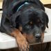 Heather Moeller - Facebook