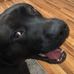 Heather Moeller - Facebook