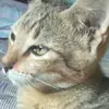 HeatherMolina - @bcartyooq63 - TikTok