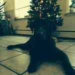 Heather Moll - @heather.moll.9 - Instagram