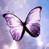 heathermolnar28 - @heathermolnar28 - TikTok