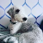 Heather Monteith - @monteithh - Instagram