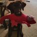 Heather Moorman - Facebook