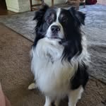 Heather Moorman Harris - @mommaharris_ - Instagram