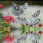 Heather Brooks-Moreno - @heather.moreno.507 - Instagram