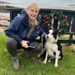 Heather Morley - @wildflower3656 - Instagram