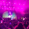 heathermorley - @heathermorley - TikTok