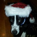Heather Morrill - @heather_morrill - Instagram