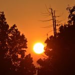 Heather Morrill-Wilcox - @morrillwilcox - Instagram