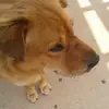 heathermountz - @heathermountz - TikTok