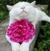 Heather Mousel - Facebook