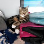 Heather Moyle - @heathertmoyle6 - Instagram
