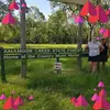 Heather Moyle - @heathermoyle1 - TikTok