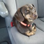 Heather mozingo - @mozingo955 - Instagram