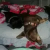 heathermozingo4 - @heathermozingo4 - TikTok