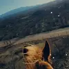 Heather Mroczkowski - @heather_mroczkowski - TikTok