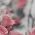 heather_mrozek - @heather_mrozek - TikTok