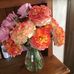 Heather Muldoon - Facebook