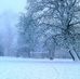 Muhlenberg Weather - Facebook