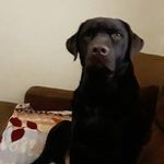 Heather Murley - @murley.heather - Instagram