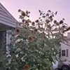 Heathermyer160 - @heathermyer160 - TikTok
