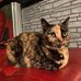 Heather Neff - Facebook