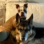 Heather Neff - @instaneffy - Instagram