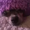 heatherneff781 - @heatherneff82 - TikTok