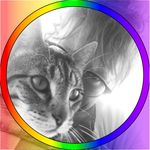 Heather Knowles Negaard - @heatherkc70 - Instagram
