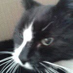 Heather Neilson - @heather_neilson2005 - Instagram