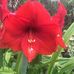 Heather Neilson - Facebook