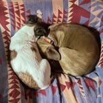 Heather Lambert - @heatherneptune - Instagram