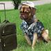 Heather Nesbitt - Facebook