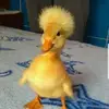 heatherneubauer93 - @heatherneubauer93 - TikTok