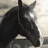heatherneuweg705 - @heatherneuweg705 - TikTok