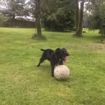 Heather Neville - @heatherneville67 - Instagram
