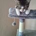 Heather Koresko Nipper - Facebook