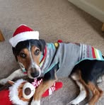 Heather Norris - Facebook