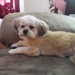 heather - @heathernowell1952 - Instagram