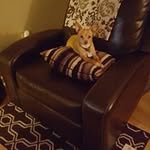 Heather Nowell - @heather.nowell - Instagram
