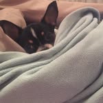 Heathernowling - @heathernowling7042 - Instagram
