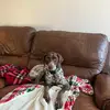 Heather O’Connor - @heather.oconnor13 - TikTok